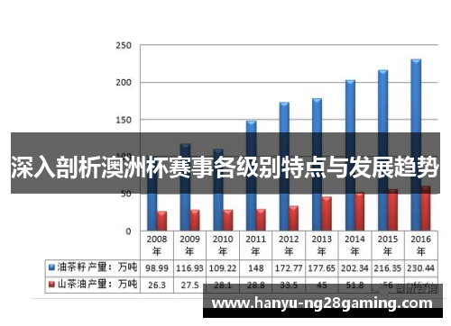 深入剖析澳洲杯赛事各级别特点与发展趋势 深入剖析澳洲杯赛事各级别特点与发展趋势
