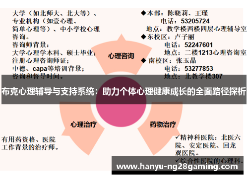 布克心理辅导与支持系统：助力个体心理健康成长的全面路径探析